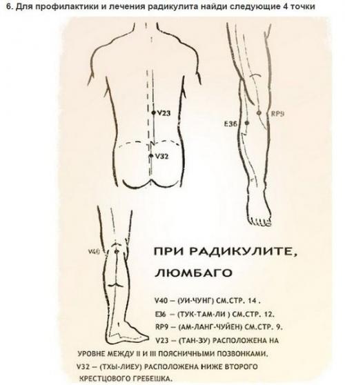 Уникальные свойства бальзама Звездочка, о которых не знали даже наши родители. 06