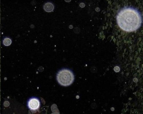 Орбы.  Пылинки в воздухе, капли воды или гости из иного мира? 01 Орбы.  Пылинки в воздухе, капли воды или гости из иного мира? 01