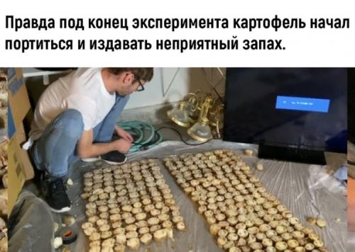 То ли гений, то ли ему просто заняться нечем. 02