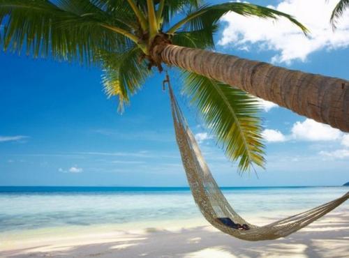 Почему баунти - это вовсе не райский остров? 

