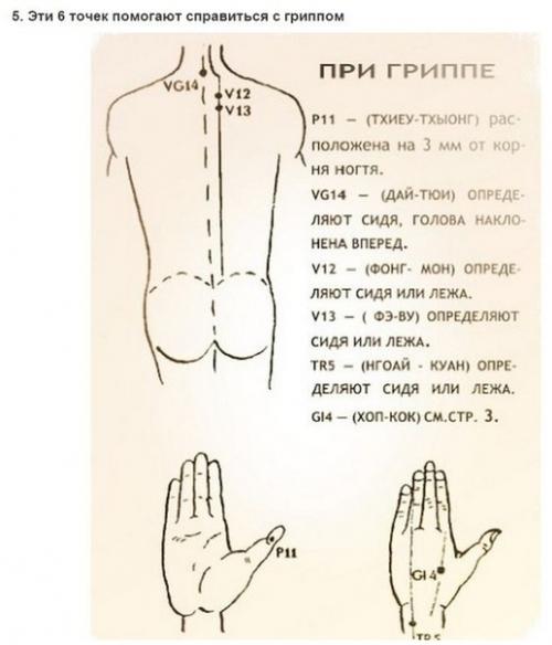 Уникальные свойства бальзама Звездочка, о которых не знали даже наши родители. 05