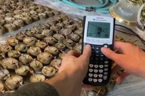 То ли гений, то ли ему просто заняться нечем. 03