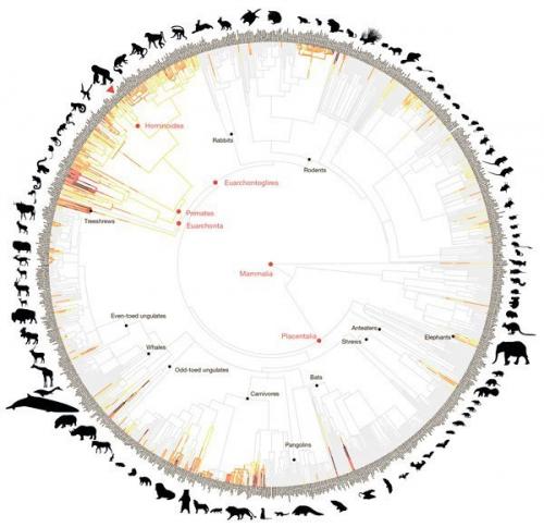 Человеческая агрессивность глубокие эволюционные корни имеет.

