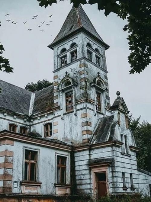 Вилла вампиров и камень лжи: мистические места калининградской области. 03