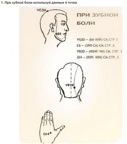 Уникальные свойства бальзама Звездочка, о которых не знали даже наши родители. 01