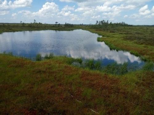 Вилла вампиров и камень лжи: мистические места калининградской области. 02