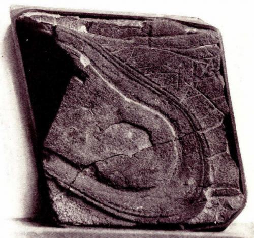 Путешествия во времени? 02 Путешествия во времени? 02