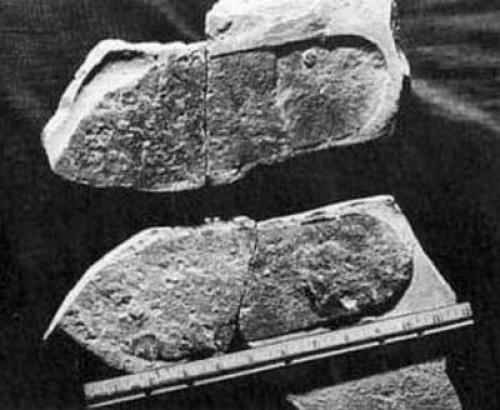 Путешествия во времени? 01 Путешествия во времени? 01