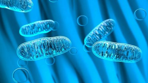 Исследование: люди теряют кишечные бактерии, передававшиеся 17 000 лет.
