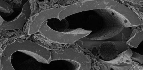 Следы микробов в древних породах земли помогут нам найти жизнь на марсе.

