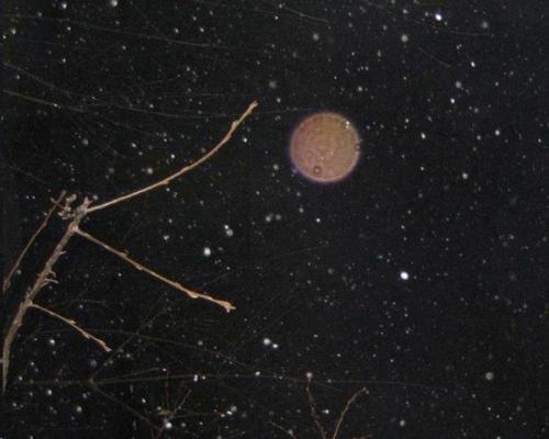 Орбы.  Пылинки в воздухе, капли воды или гости из иного мира? 02 Орбы.  Пылинки в воздухе, капли воды или гости из иного мира? 02