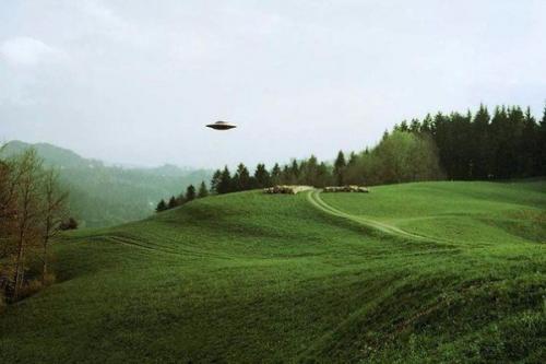 Наука о разумной жизни на других планетах. 
