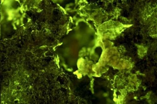 Какие полезные ресурсы есть в астероидах и как их можно добыть? 04