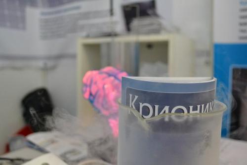 Ученые нашли способ воскрешать людей. Ученые нашли способ воскрешать людей.