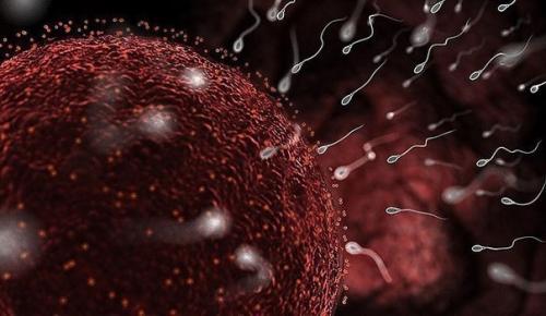 Интересные факты о зачатии ребенка.

