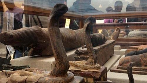 Недалеко от Каира обнаружили гробницы с мумифицированными животными. 03 Недалеко от Каира обнаружили гробницы с мумифицированными животными. 03