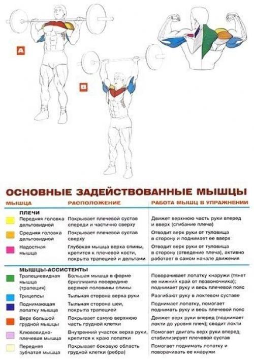 Стратегия развития больших плеч. 01 Стратегия развития больших плеч. 01