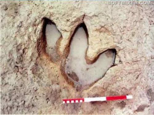 Факты, которые были запрещены к публикации. 04 Факты, которые были запрещены к публикации. 04