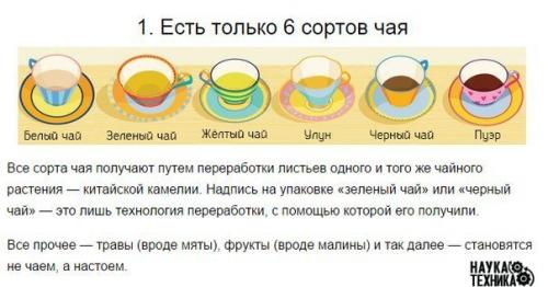 Вещи, которые вы не знали о том, как пить чай.

