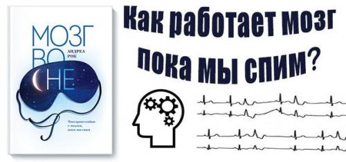 О многих процессах, которые происходят с нами во сне, даже учёные могут только догадываться.