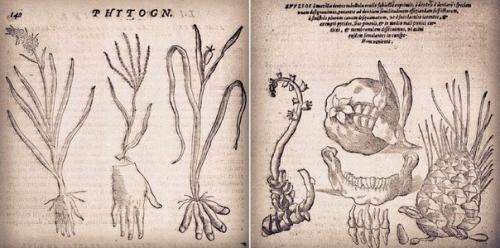 Средневековый мистик джамбаттиста делла порта. 04
