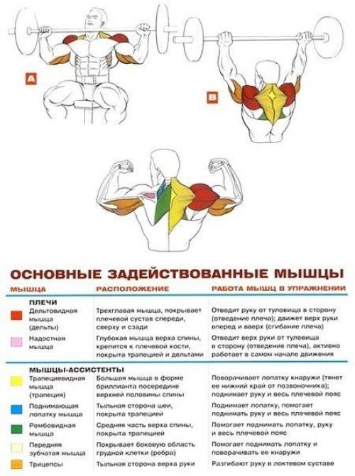 Стратегия развития больших плеч. 02 Стратегия развития больших плеч. 02