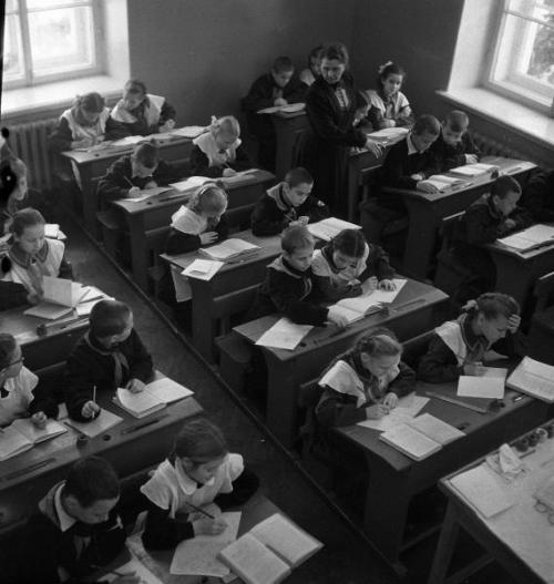 Семь вещей, которые я ненавидел в школе, а зря.

