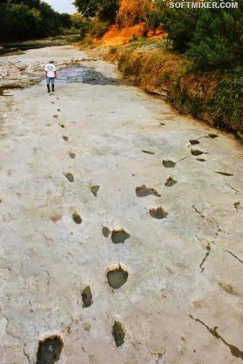 Факты, которые были запрещены к публикации. 02 Факты, которые были запрещены к публикации. 02