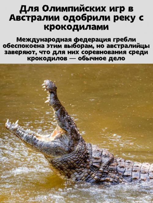 Олимпиада - 2032: гребля среди крокодилов? 


