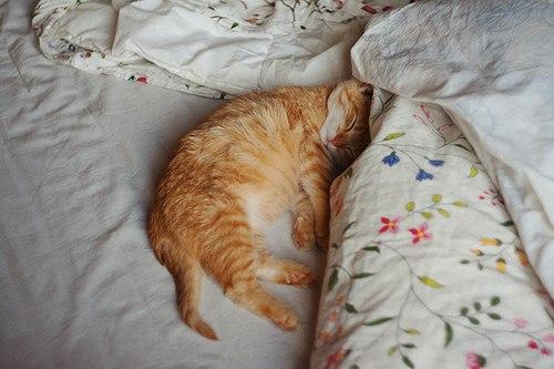 20 цитат, которые нужно перечитывать каждое утро! 

