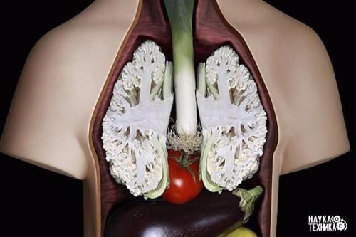 30 самых полезных продуктов для тела.