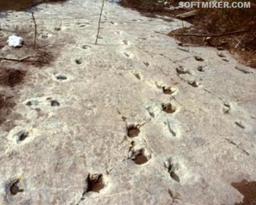 Факты, которые были запрещены к публикации. 03 Факты, которые были запрещены к публикации. 03