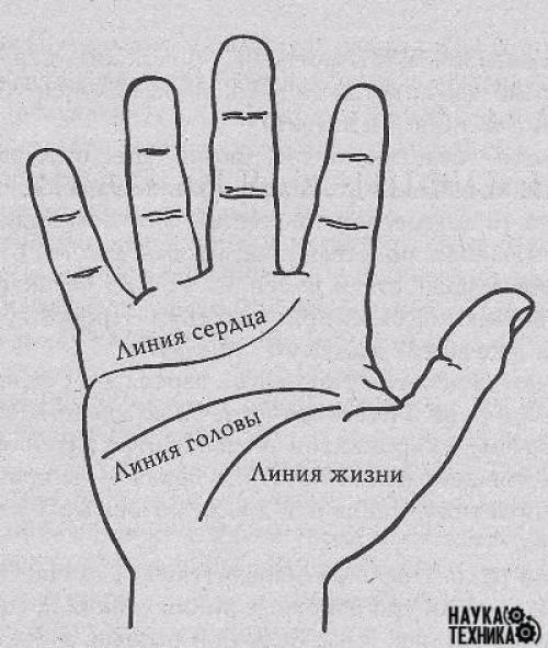 О чём может рассказать ваша ладонь. 
