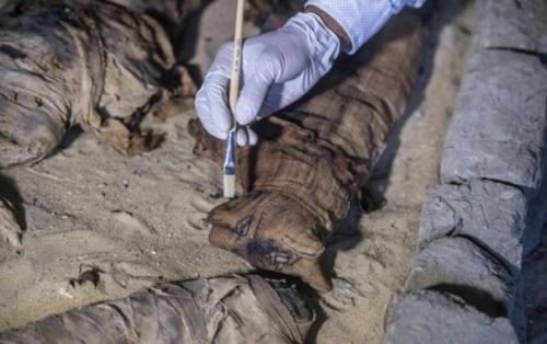 Недалеко от Каира обнаружили гробницы с мумифицированными животными. 01 Недалеко от Каира обнаружили гробницы с мумифицированными животными. 01