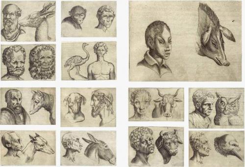 Средневековый мистик джамбаттиста делла порта. 03