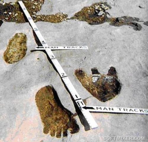 Факты, которые были запрещены к публикации. 05 Факты, которые были запрещены к публикации. 05