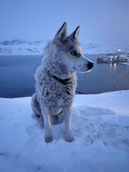 Фотограф показал русский север с помощью Iphone 11 Pro. 06