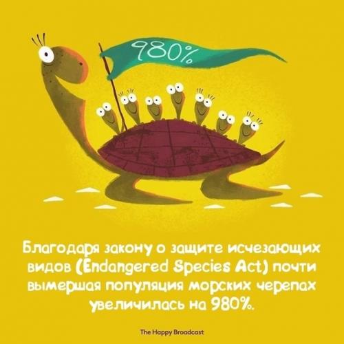 В последнее время в прессе появляется все больше шокирующих и устрашающих новостей, которые заставляют нас чувствовать, словно мир разваливается. 09