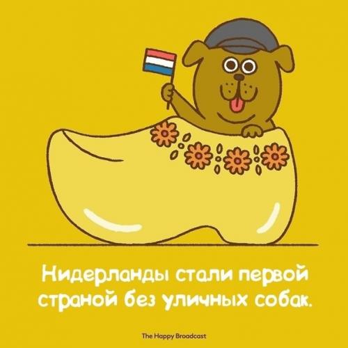 В последнее время в прессе появляется все больше шокирующих и устрашающих новостей, которые заставляют нас чувствовать, словно мир разваливается. 06