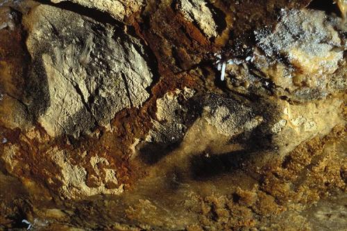 Оглушенность красотой.  Я познакомилась месяц назад на одном сайте с парнем. 05 Оглушенность красотой.  Я познакомилась месяц назад на одном сайте с парнем. 05