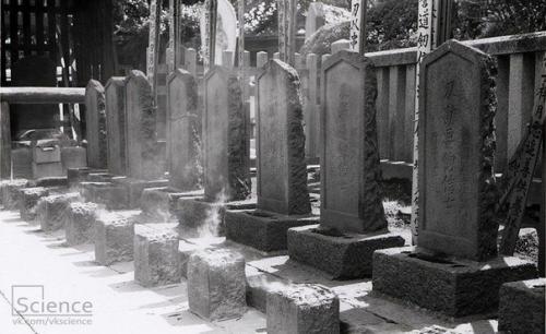 События на 14 декабря, понедельник.