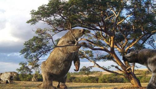 Всемирный потоп. Каких животных не успел спасти ной? 05 Всемирный потоп. Каких животных не успел спасти ной? 05