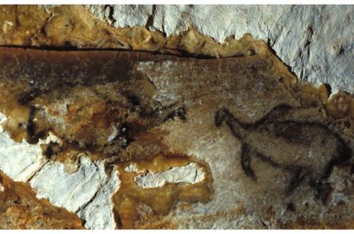 Оглушенность красотой.  Я познакомилась месяц назад на одном сайте с парнем. 08 Оглушенность красотой.  Я познакомилась месяц назад на одном сайте с парнем. 08