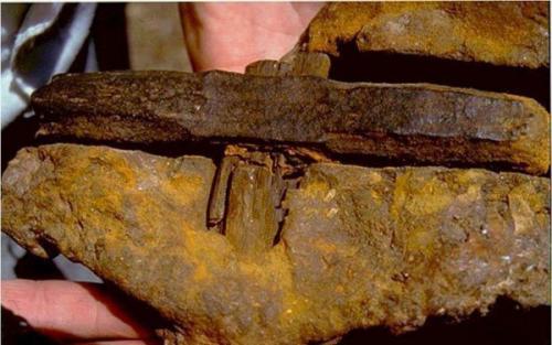 Нио - неопознанные ископаемые объекты. Нио - неопознанные ископаемые объекты.