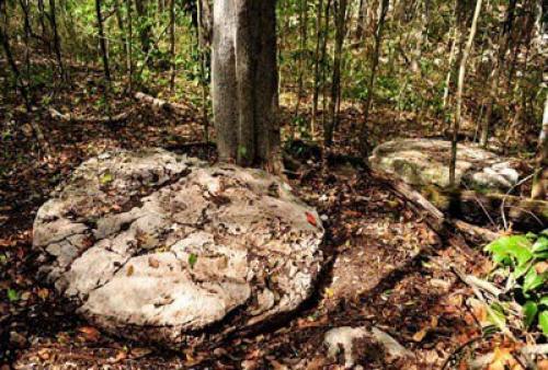 Археологи в Мексике затерянный город цивилизации Майя нашли. 04 Археологи в Мексике затерянный город цивилизации Майя нашли. 04