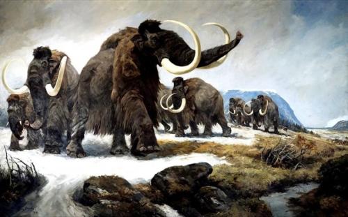 Всемирный потоп. Каких животных не успел спасти ной? 03 Всемирный потоп. Каких животных не успел спасти ной? 03