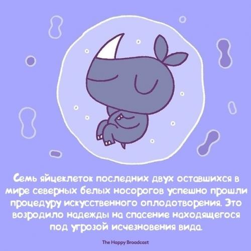 В последнее время в прессе появляется все больше шокирующих и устрашающих новостей, которые заставляют нас чувствовать, словно мир разваливается. 04