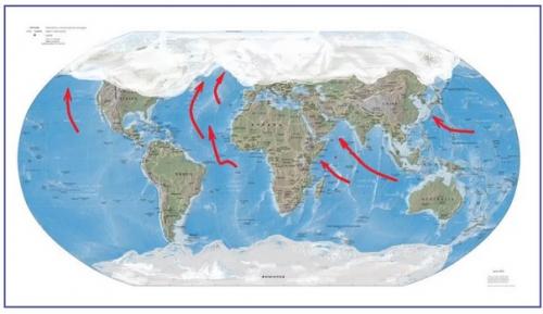 Всемирный потоп. Каких животных не успел спасти ной? 02 Всемирный потоп. Каких животных не успел спасти ной? 02
