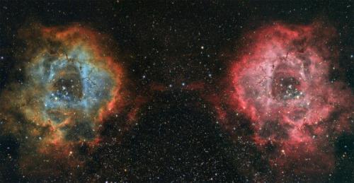 Астрофотограф прекрасные фотографии туманности розетка представляет.