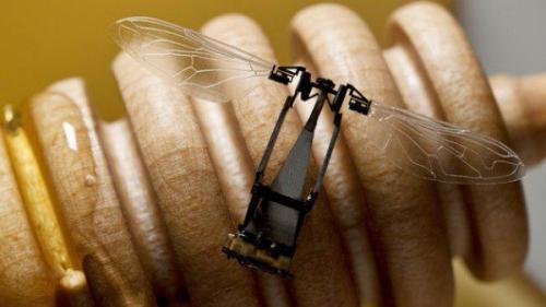 Хотите попробовать мед от робопчел?